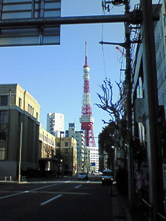 画像(240x320)