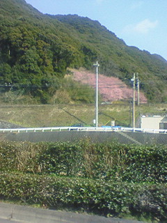 画像(240x320)