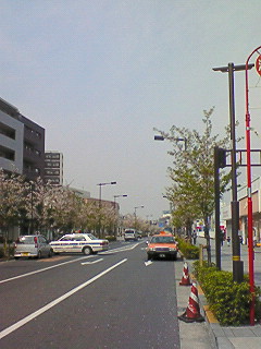 画像(240x320)