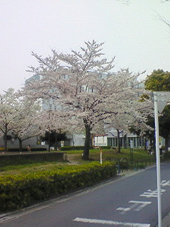 画像(240x320)