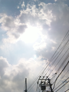 画像(240x320)