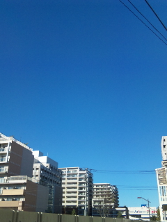 画像(240x320)