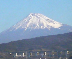 画像(240x196)
