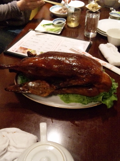 画像(240x320)