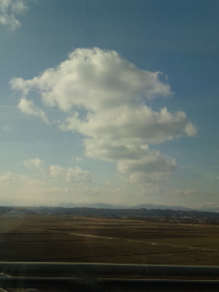 画像(240x320)